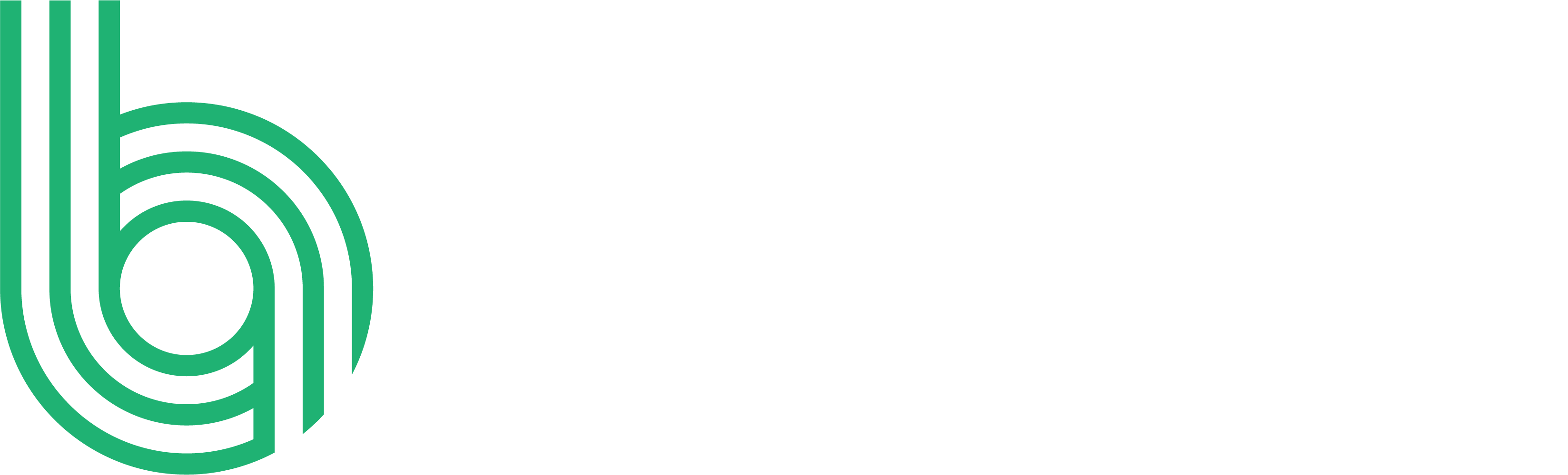 Bearing Insurance logo